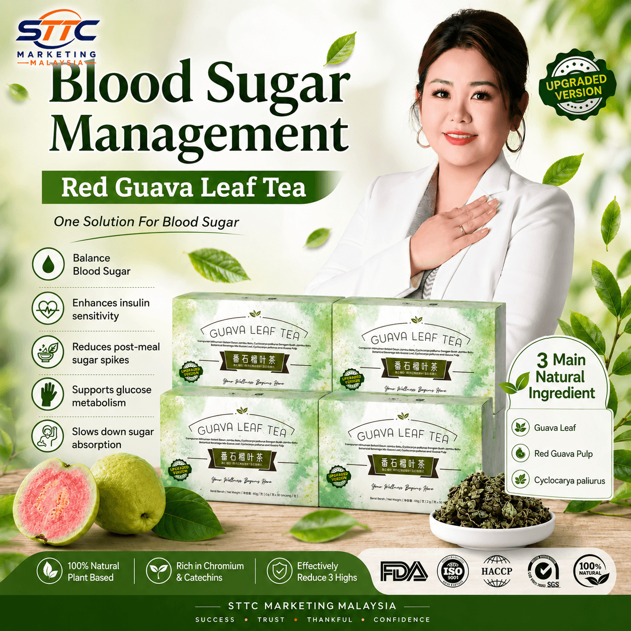 2026 配方新升级版｜ Diabetea 番石榴叶茶 x 4